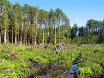 Similar image 497819