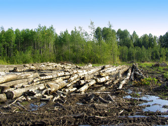 Similar image 497825