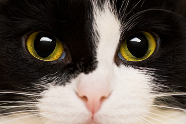 Similar image 497828