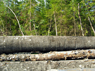 Similar image 497836