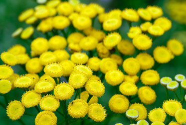 Similar image 497910