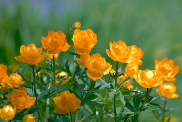 Similar image 497913