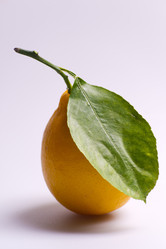 Similar image 497923