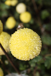 Similar image 497932