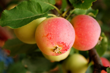 Similar image 497956