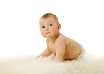 Similar image 497960