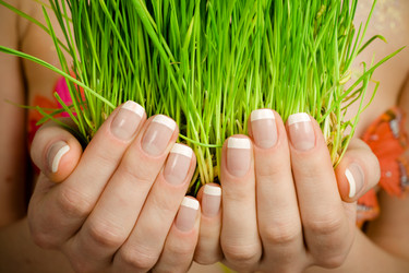 Similar image 497991