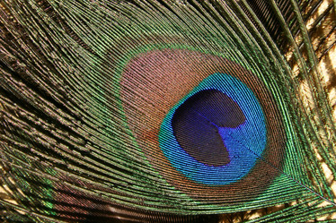 Similar image 498008