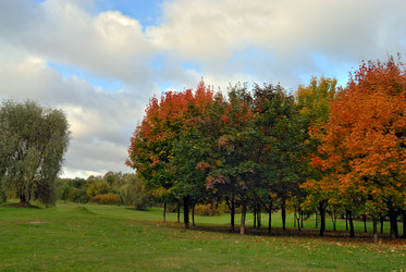 Similar image 498033