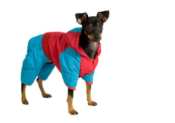 Similar image 498048