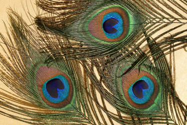 Similar image 498068