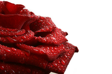 Similar image 498078