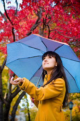 Similar image 498119