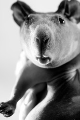 Similar image 498122