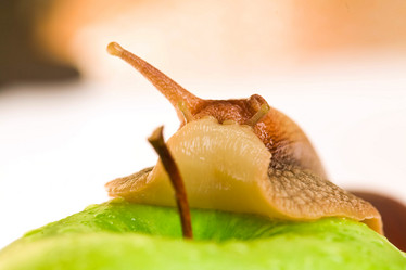 Similar image 498159