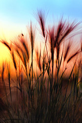 Similar image 498160