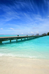 Similar image 498164