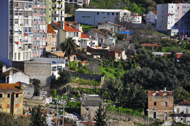 Similar image 498196