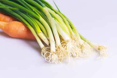 Similar image 498198