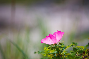 Similar image 498218