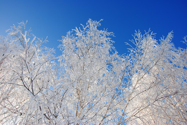 Similar image 498252