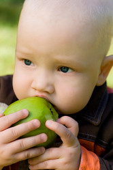 Similar image 498261