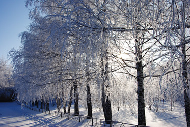 Similar image 498263