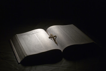 Similar image 498279