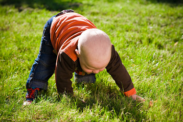 Similar image 498282