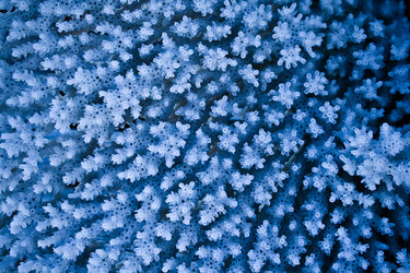 Similar image 498297