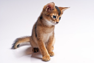 Similar image 498299