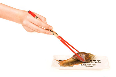 Similar image 498310