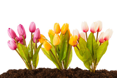 Similar image 498326