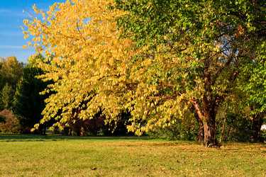 Similar image 498338