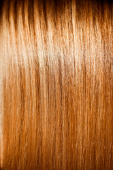 Similar image 498345