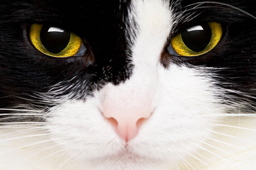 Similar image 498364