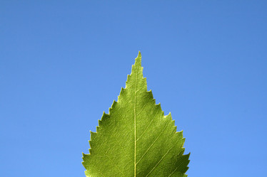 Similar image 498368