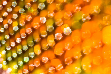 Similar image 498383