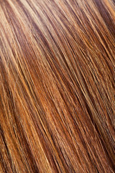 Similar image 498386