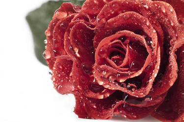 Similar image 498399