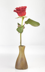 Similar image 498405