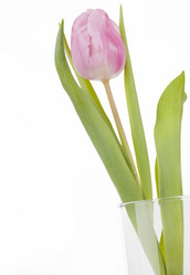 Similar image 498414