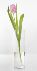 Similar image 498416