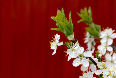 Similar image 498429