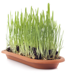 Similar image 498431