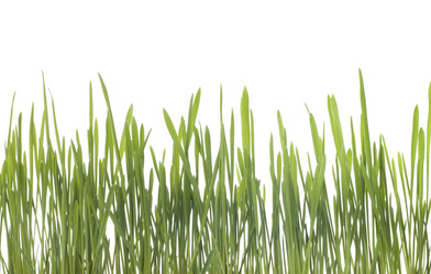 Similar image 498436