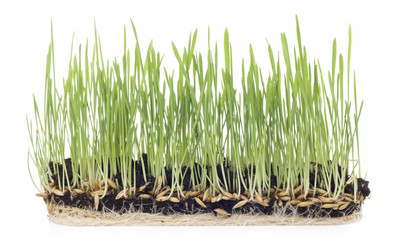 Similar image 498441