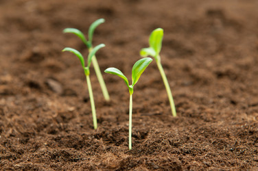 Similar image 498455