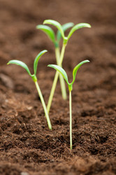 Similar image 498457