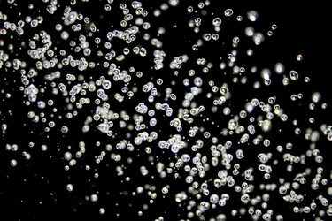 Similar image 498458